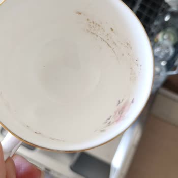 Arızalı Bulaşık Makinesi Ve Kötü Servis Deneyimi: Mağduriyetimin Giderilmesini İstiyorum