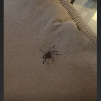 Campus Cyprus Yurdu: Gerçekler Ve Öğrenci Mağduriyeti