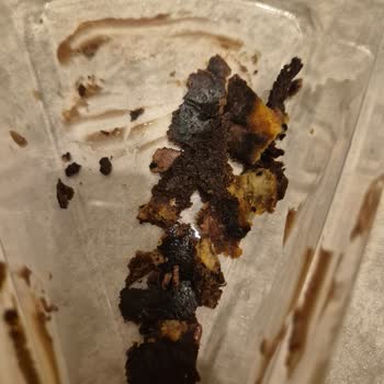 San Sebastian Tatlısında Yanık Tat Ve Beklenmeyen İçerik Sorunu