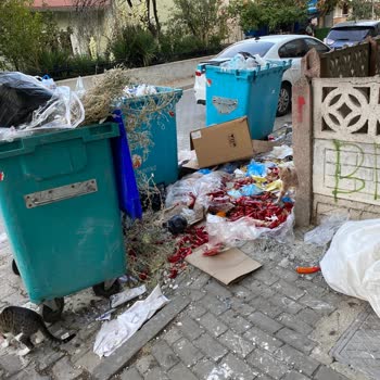 Migros Şubesinin Tadilat Sürecinde Oluşan Çevre Kirliliği Ve Kötü Koku Sorunu