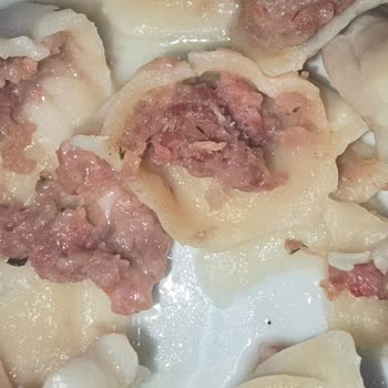 Pelmen Mantı İçindeki Kıyma Kısmı Pembe Kaldı ve Kötü Bir Koku Yayıldı