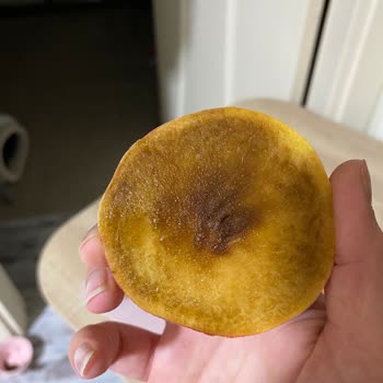 Tamamen Çürük Şeftali Gönderildi, Ücret İadesi Yapılmıyor