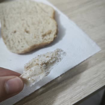 Aldığım Ekmeğin İçinden Poşet Parçası Çıktı: Sağlık Ve Hijyen Sorunu