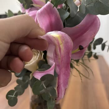 Aynı Gün Solan Çiçek Ve İade Talebim Reddedildi