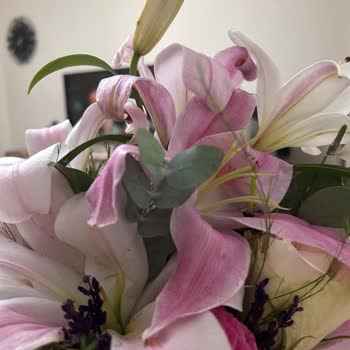 Aynı Gün Solan Çiçek Ve İade Talebim Reddedildi