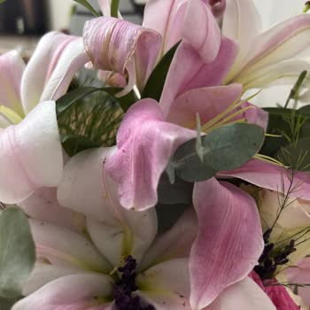 Aynı Gün Solan Çiçek Ve İade Talebim Reddedildi