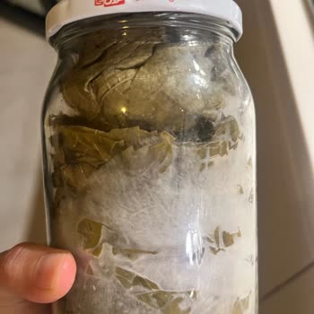 Hasarlı Kavanoz Nedeniyle Küflenen Ürün İçin Değişim Ya Da İade Talebi