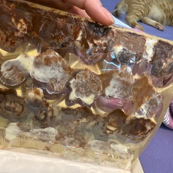 Aldığım Çikolata Erimiş Ve Bozulmuş Çıktı, Para İadesi İstiyorum