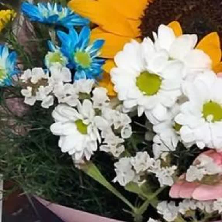 Sipariş Görsele Uymayan Çiçekler Ve Yetersiz Müşteri Hizmeti Nedeniyle Mağduriyet