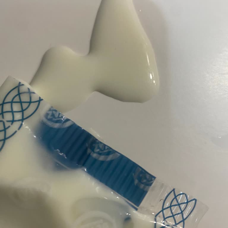 Soğuk Ve Bozuk Ürün, İade Talebim Reddedildi!