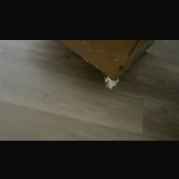 Hasarlı Ve Korumasız Gelen Sandalye İçin Değişim Talebi Ve Kargo Şikayeti