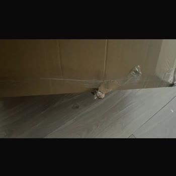 Hasarlı Ve Korumasız Gelen Sandalye İçin Değişim Talebi Ve Kargo Şikayeti