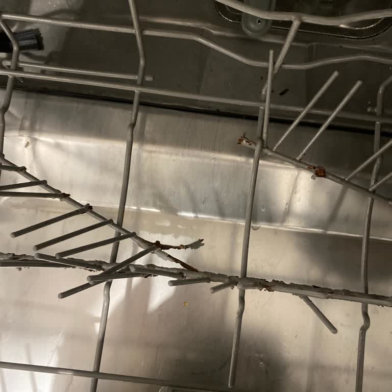 Franke Bulaşık Makinesinde 2 Ayda Paslanma Ve Çürüme Sorunu