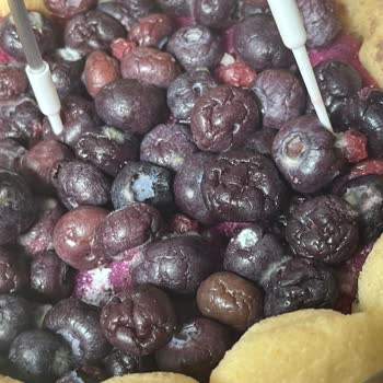 Migros'tan Alınan Pastanın Küflü Çıkması Ve Yetersiz Çözüm