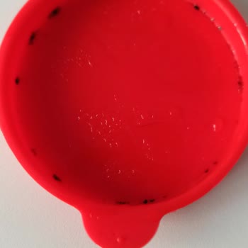 Lav Su Şişesinde Çıkmayan Küf Lekeleri Mağduriyeti