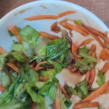 KYK İzmir Kız Yurdunda Hijyen Eksikliği Arızalar Ve İlgisizlik Öğrencileri Mağdur Ediyor