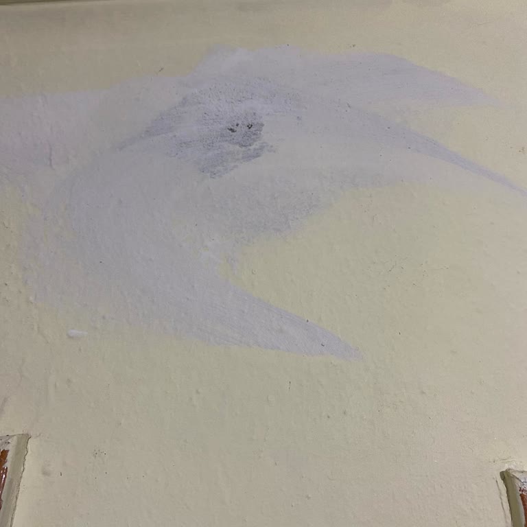 Yanlış Renk Boya Nedeniyle Mağduriyet Yaşıyorum