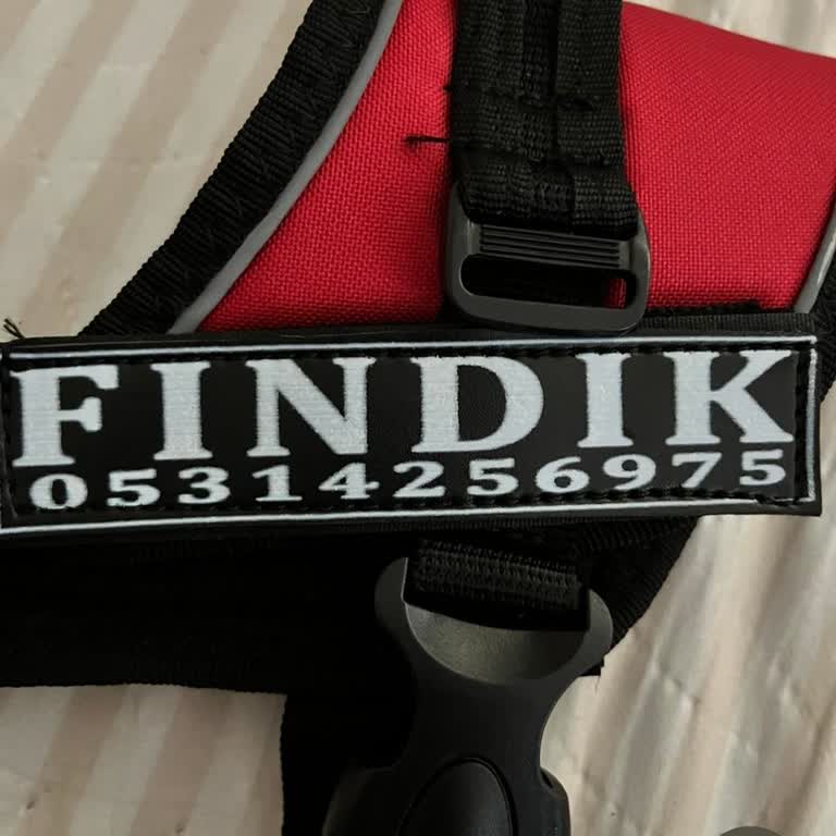 Yanlış Bilgiyle Gelen Tasma Ve İletişimsiz Müşteri Hizmeti