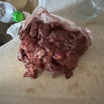 Vestel XXL Buzdolabı Sürekli Arızalanıyor Etlerim Bozuldu Zararımı Karşılayın