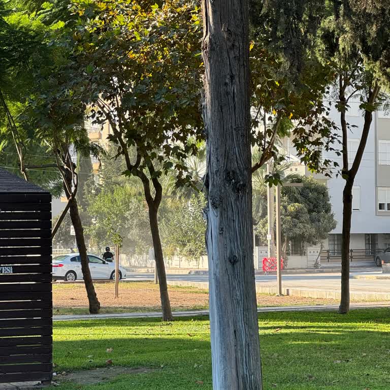 Yol Çalışması Sonrası Yoğun Toz Nedeniyle Evimizde Sağlık Sorunları Başladı