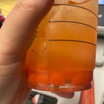 Starbucks Hygiene Complaint — Found a Fly in My Drink, No Refund Issued