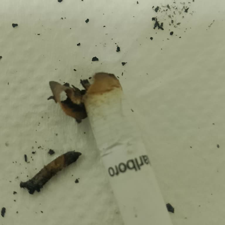 Sigara Paketinde Yabancı Madde Çıkması Nedeniyle Sağlık Endişesi