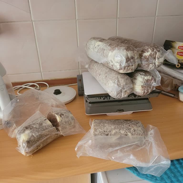 Bozuk Ürün Ve İletişimsizlik Nedeniyle Para İadesi Talebi