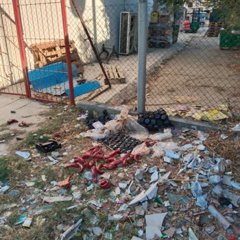 Şok Market'te Personel Davranışları, Temizlik Ve Düzen Eksikliği Şikayeti