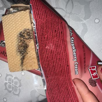 Aldığım Eti Hoşbeş Çilekli Ürününde Küf Ve Yabancı Madde Şoku