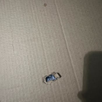 Hasarlı Gitar Teslimatı Ve Yanlış Teslimat Kaydı
