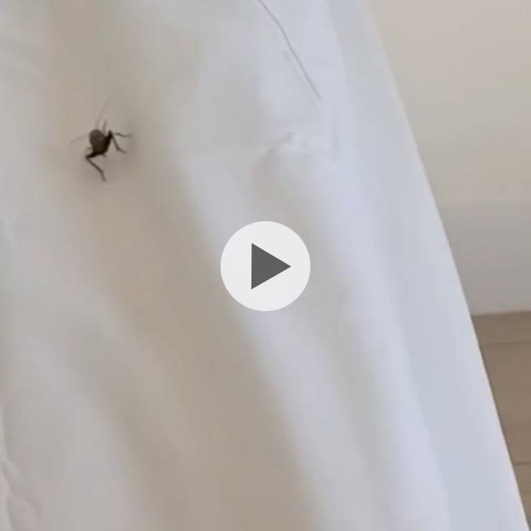 Selectum Colors Bodrum'da Oda Temizliği Ve Müşteri İlişkilerinde Yetersizlik