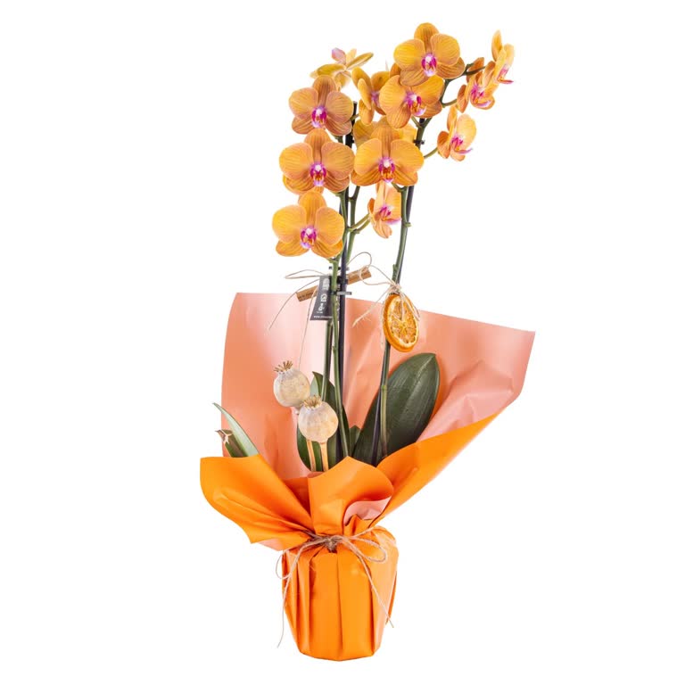 Sipariş Edilen Çiçek Görselinden Tamamen Farklı Ve Deforme Ürün Gönderildi Ücret İadesi Yapılmıyor