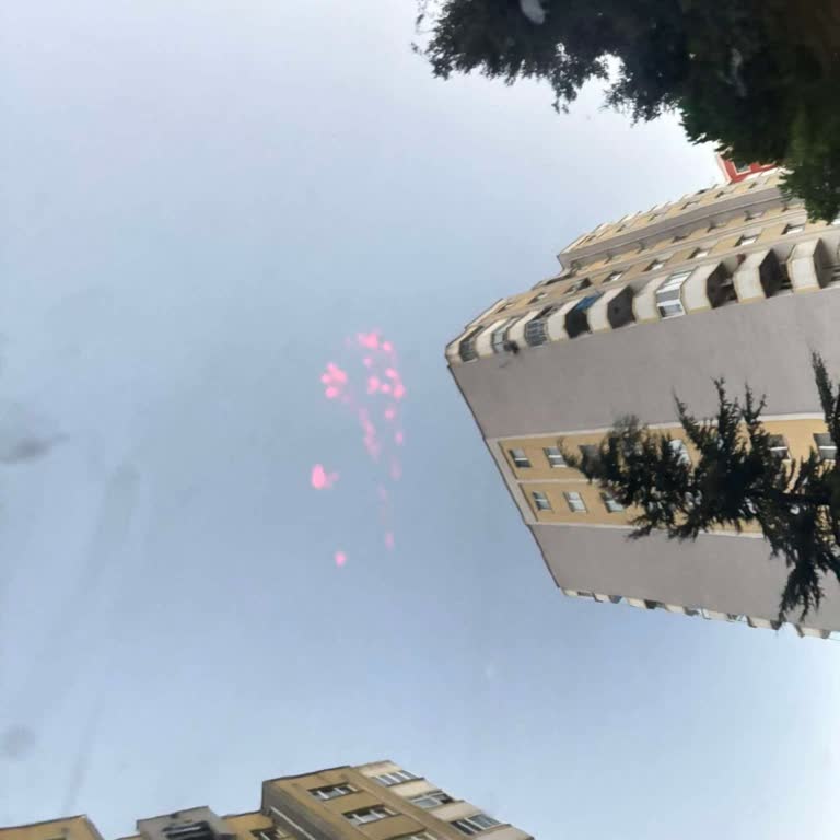 Opel Corsa'nın Garanti Kapsamında Tavan Boyası Sorunu Ve Yetersiz Çözüm Teklifi