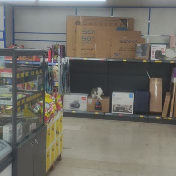 BİM Mağazasında Kedi Bulunması Hijyen Endişesi Yarattı