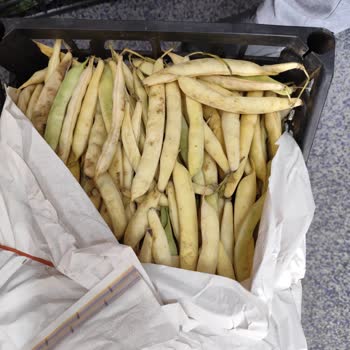 Sebze Ve Meyve Ürünlerinde Sürekli Çürük Ve Eksik Teslimat Sorunu