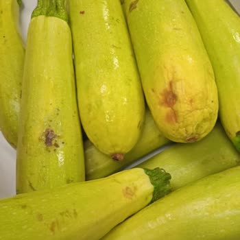 Sebze Ve Meyve Ürünlerinde Sürekli Çürük Ve Eksik Teslimat Sorunu