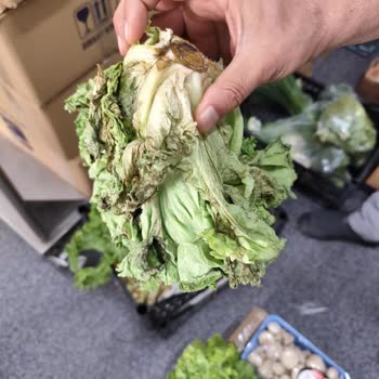 Sebze Ve Meyve Ürünlerinde Sürekli Çürük Ve Eksik Teslimat Sorunu