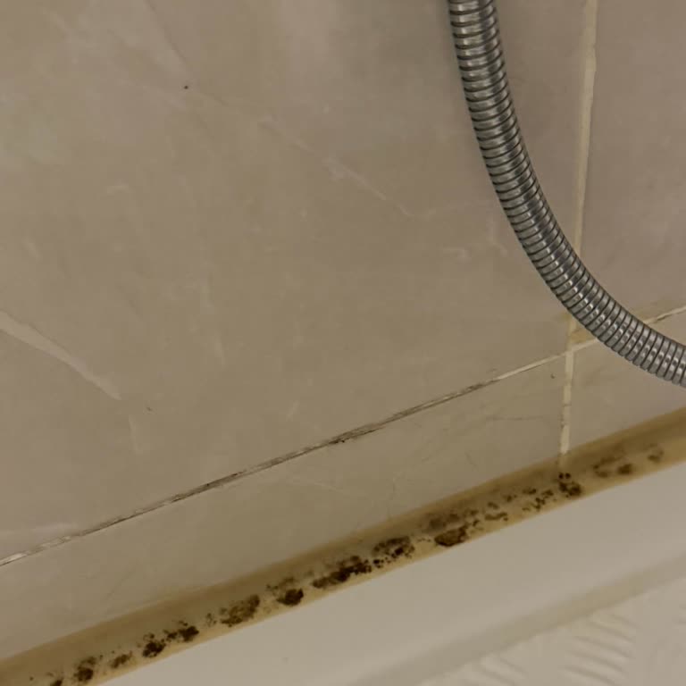 Akın Banyo Duşakabin Takıldığı Günden Bu Yana Su Sızdırıyor