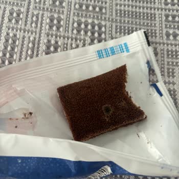 Küflü Kinder Süt Dilimi Ürünü İle Karşılaştım