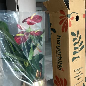 Heryerbitki Yanlış ve Kalitesiz Çiçek Gönderimi Nedeniyle Yaşanan Mağduriyet