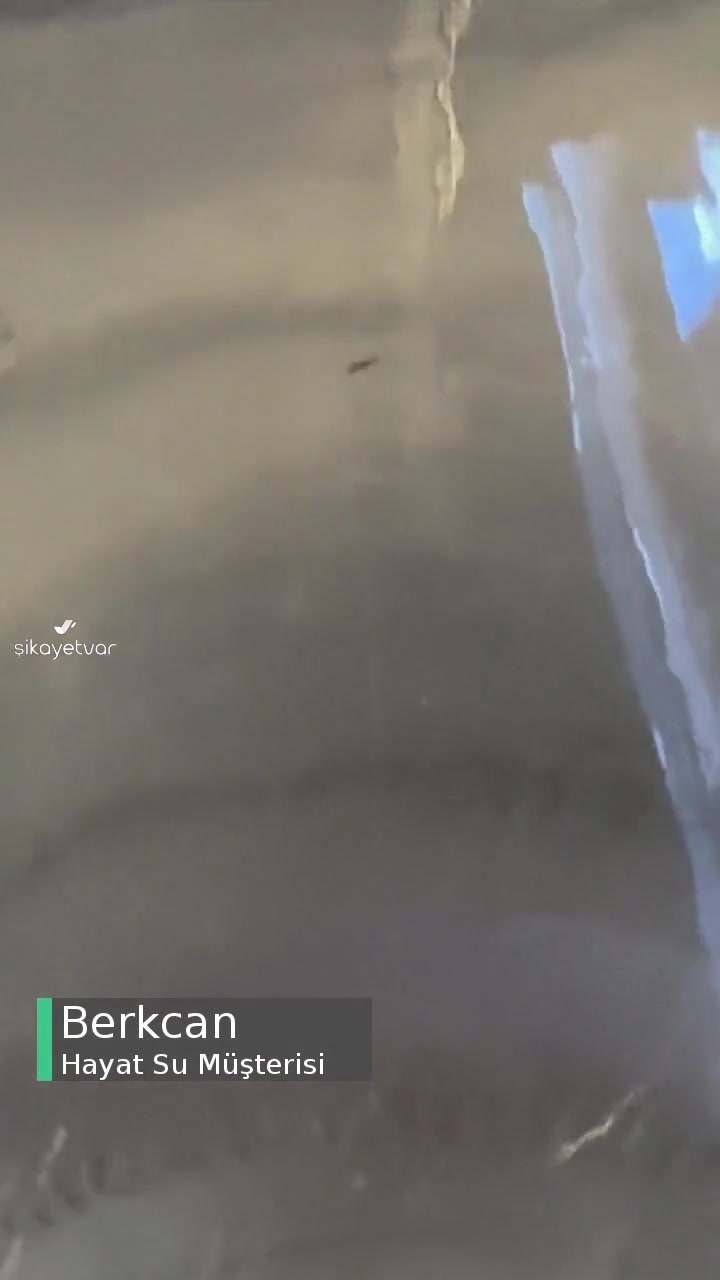 Hayat Suda Böcek Ve Plastik Parçaları Var videonun kapak resmi