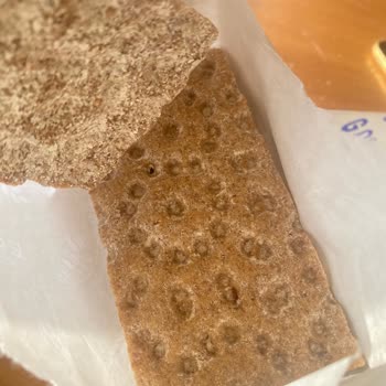 Aldığım Wasa Ürününde Böcek Çıktı, Ürün Güvenliği Konusunda Endişeliyim