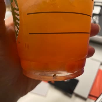 Starbucks-Bestellung über Trendyol GO – Insekt im Getränk gefunden