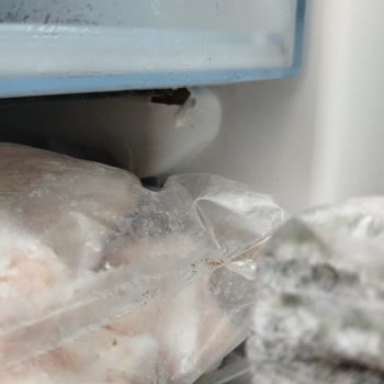 Bosch Buzdolabında Ray Ve Kat Kırılması İle Derece Sorunu