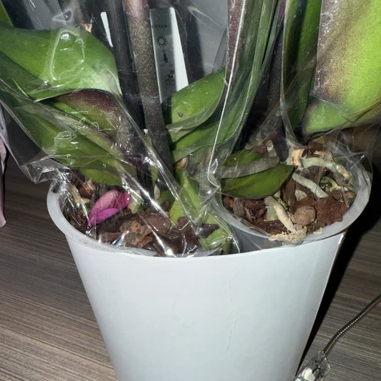 Yanlış Ve Eksik Ürün, Müşteri Hizmetleri Çözüm Sunmuyor