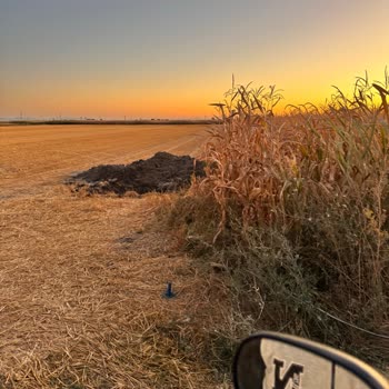Bilgilendirme Yapılmadan Tarlama Girildi, Maddi Zarara Uğradım