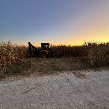Bilgilendirme Yapılmadan Tarlama Girildi, Maddi Zarara Uğradım