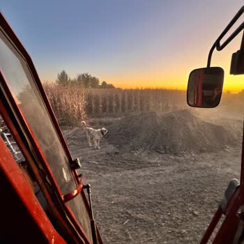 Bilgilendirme Yapılmadan Tarlama Girildi, Maddi Zarara Uğradım