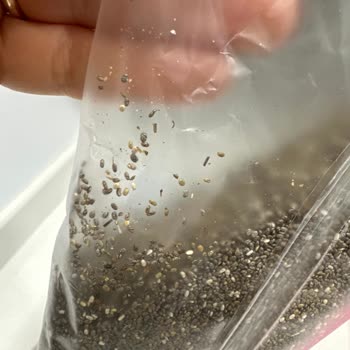 Aldığım Chia Tohumu Güvelenmiş Ve Bozulmuş Geldi