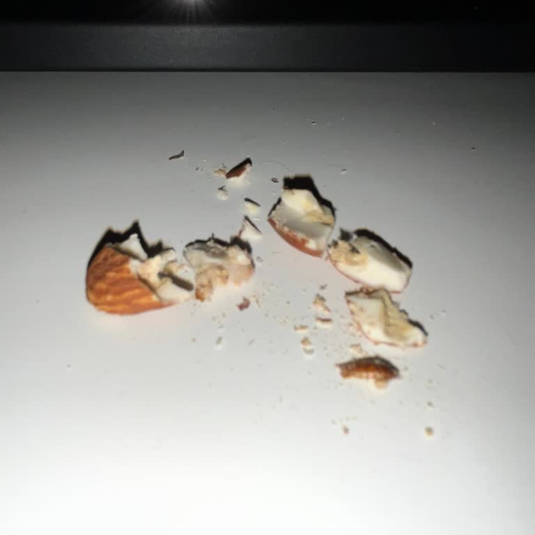 Aldığım Bademin İçinde Kurt Çıktı, Müşteri Hizmetlerine Ulaşamıyorum